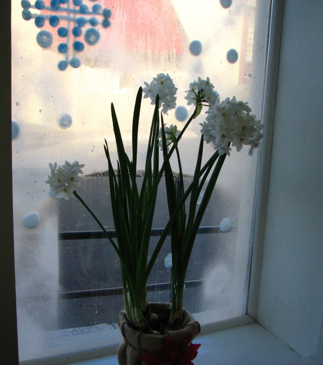 The Quilting Depot (25)