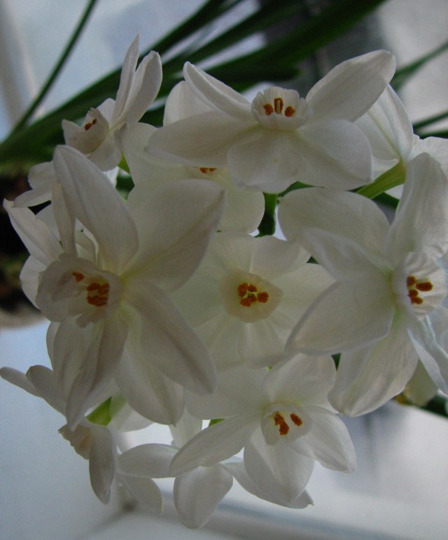 The Quilting Depot (26)