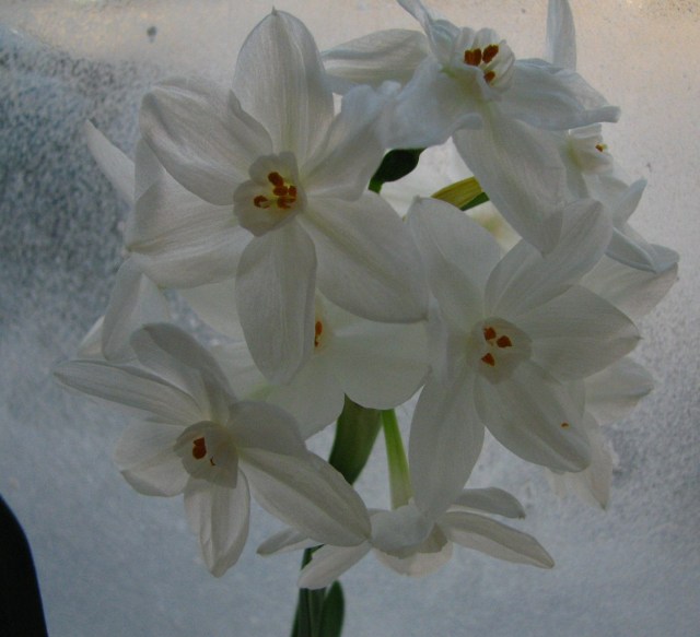 The Quilting Depot (27)