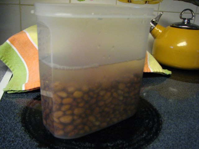 Healthy Eating 101 (16)