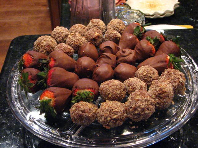 Birds, Cats and a JSS Bee (10)