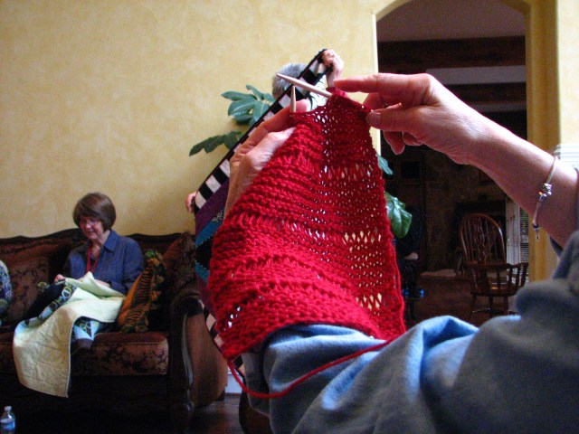 Birds, Cats and a JSS Bee (13)