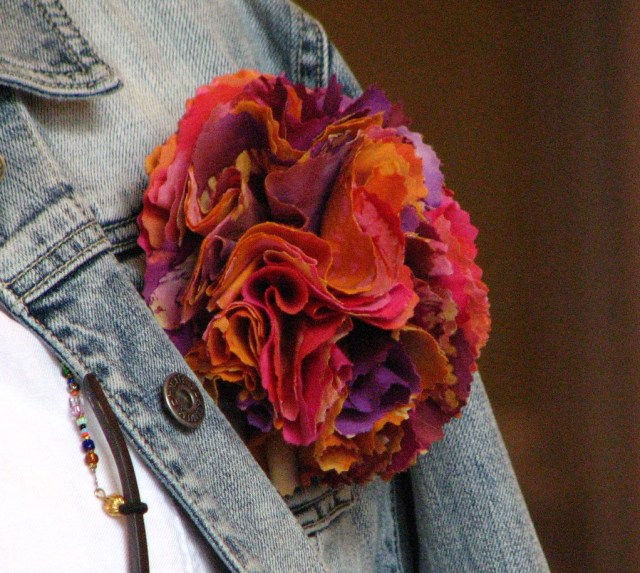 Birds, Cats and a JSS Bee (16)