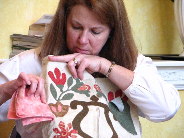 Birds, Cats and a JSS Bee (20)