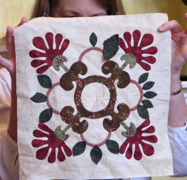 Birds, Cats and a JSS Bee (22)