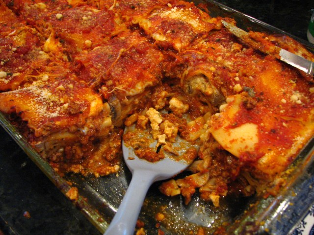 Birds, Cats and a JSS Bee (29)