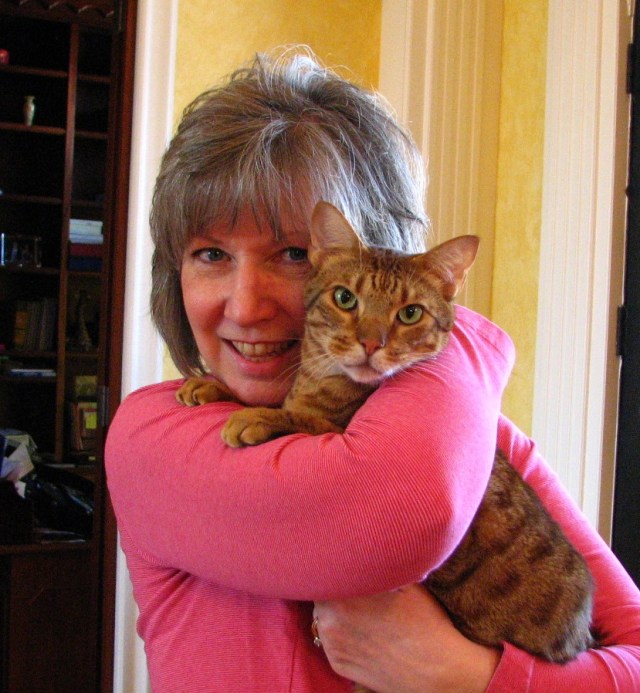 Birds, Cats and a JSS Bee (3)