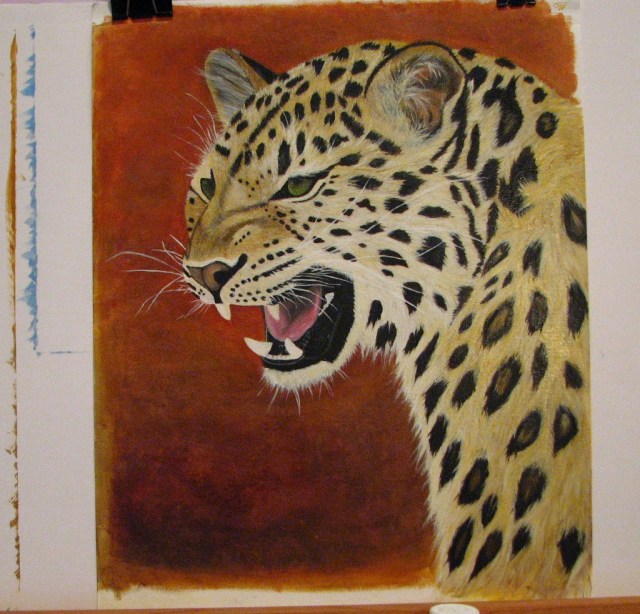 Birds, Cats and a JSS Bee (32)