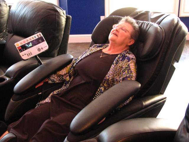 Birds, Cats and a JSS Bee (35)