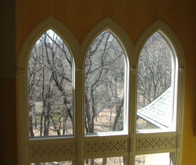 Birds, Cats and a JSS Bee (36)