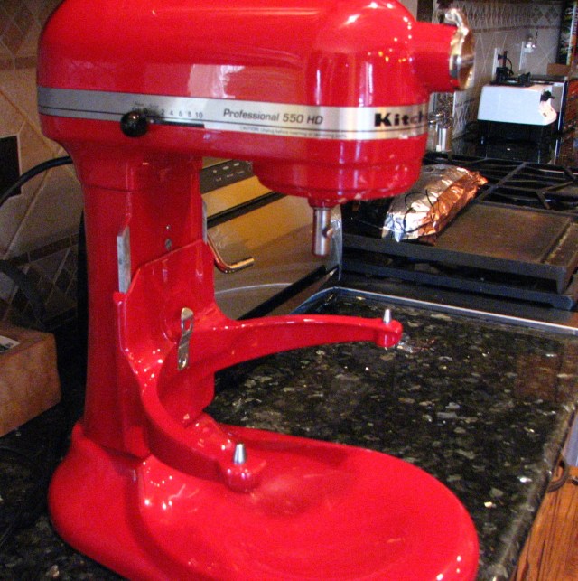 Birds, Cats and a JSS Bee (8)