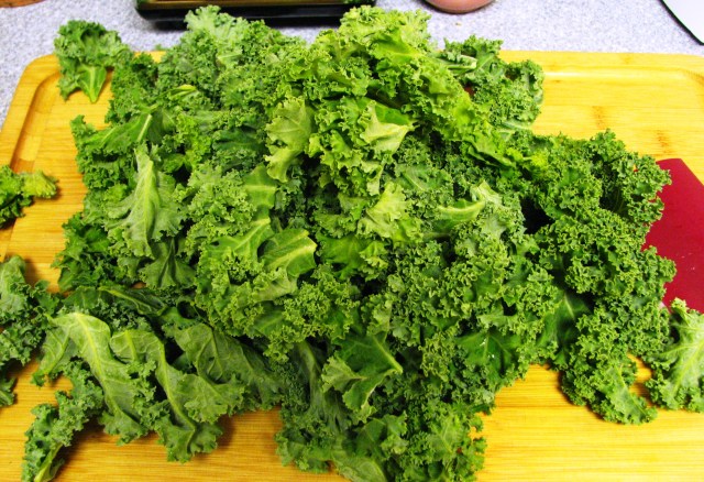 Kale Chips (1)