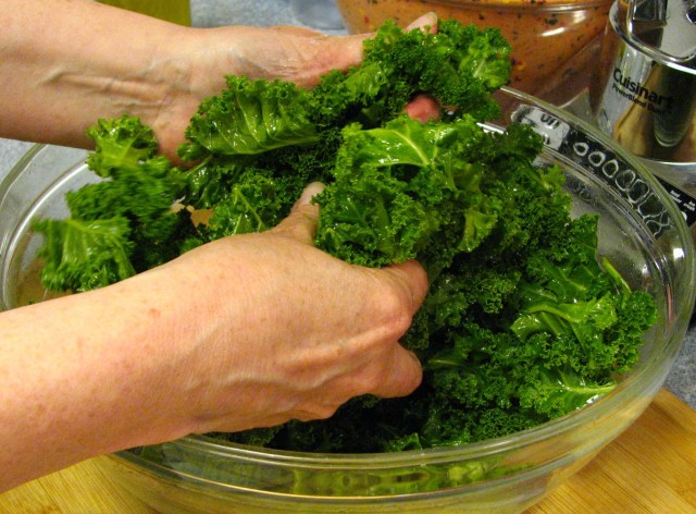 Kale Chips (5)