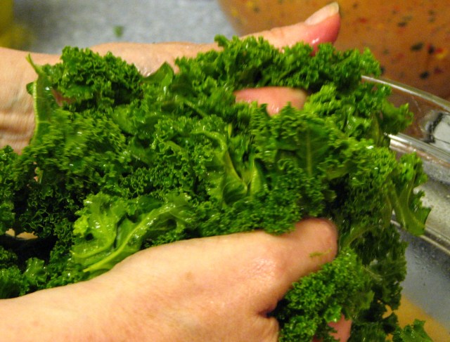 Kale Chips (6)