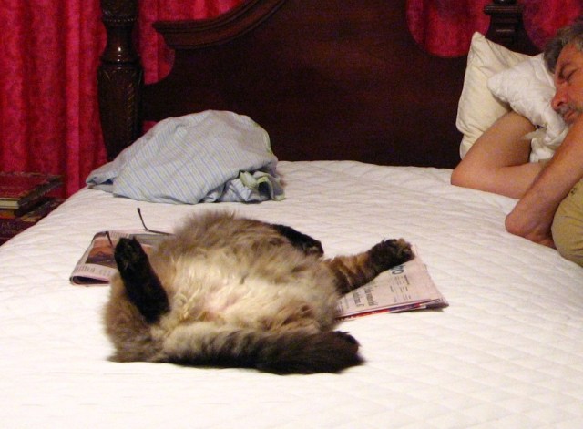 Boo & Miss Kitty (4)