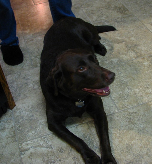 A Vegan Thanksgiving (1)