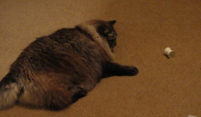 Quilting on the Go with Inklingo (19)