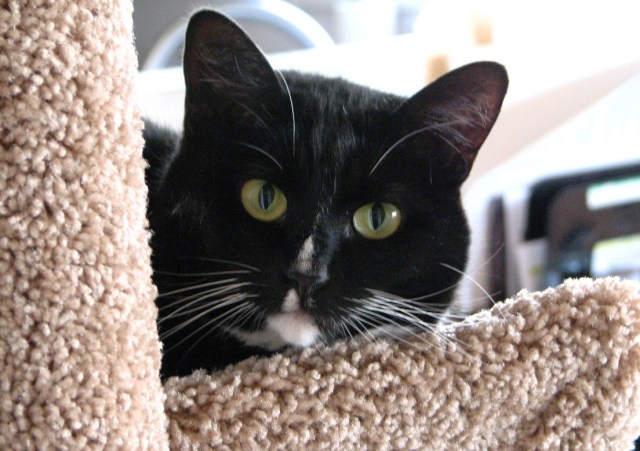 My Already Done List (12)