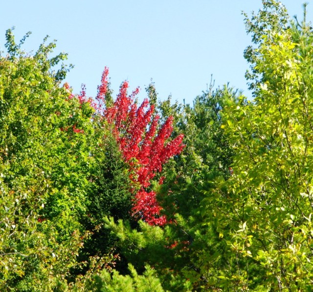 It's a good thing I don't drink