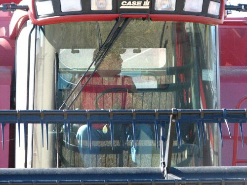 IMG_20131012_110351.jpg image