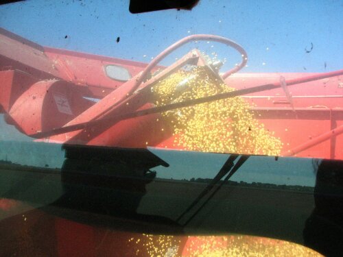 IMG_20131012_110548.jpg image