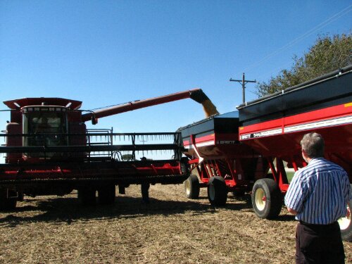 IMG_20131012_111018.jpg image