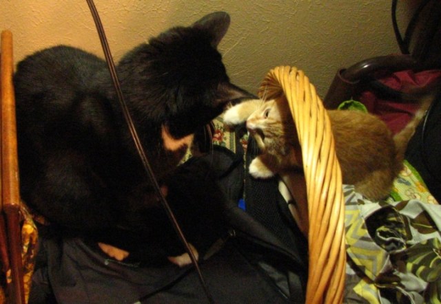 Ah, Sweet Mystery (12)