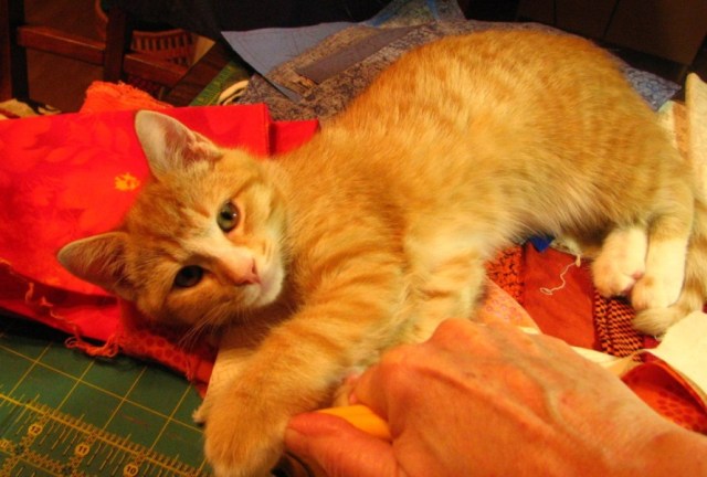 Ah, Sweet Mystery (23)