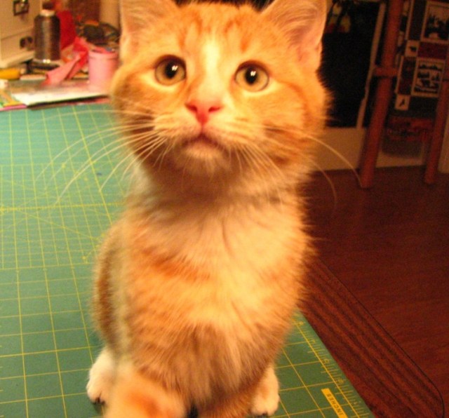 Ah, Sweet Mystery (9)