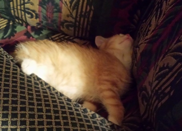 There's a New Kid in Town (17)