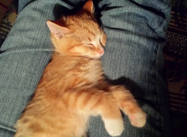 There's a New Kid in Town (19)