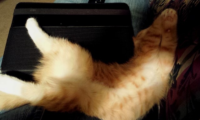 There's a New Kid in Town (20)