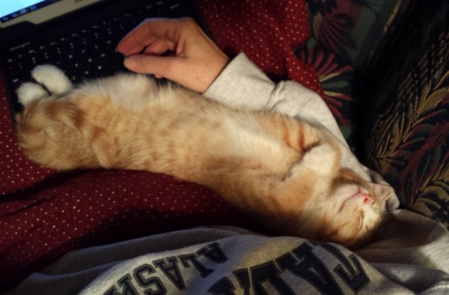 There's a New Kid in Town (21)