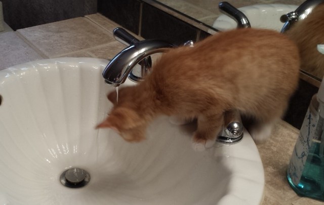 There's a New Kid in Town (22)