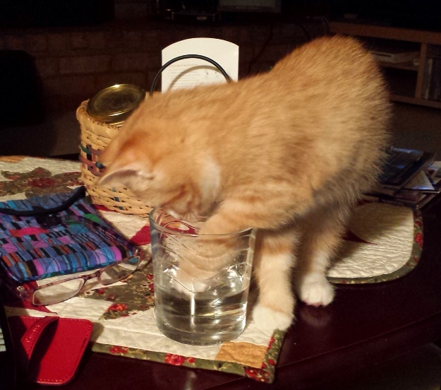 There's a New Kid in Town (23)