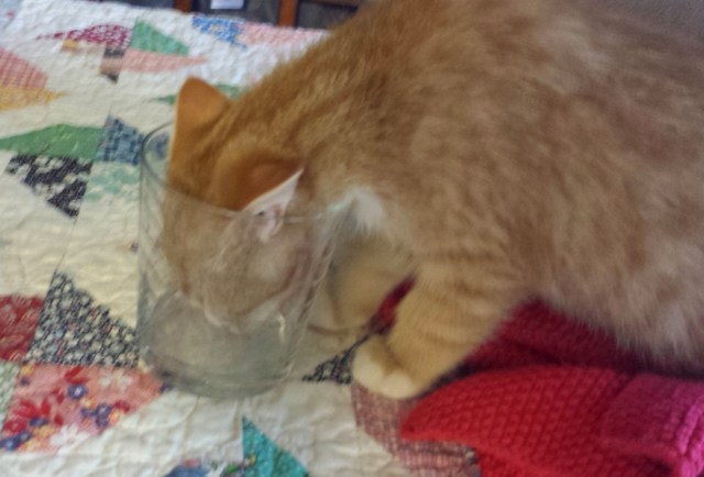 There's a New Kid in Town (24)