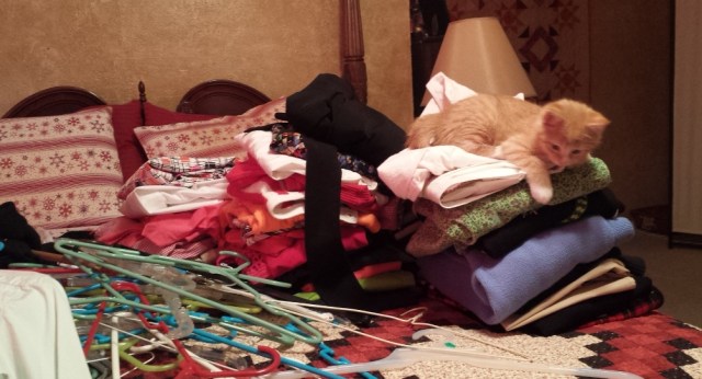 There's a New Kid in Town (5)