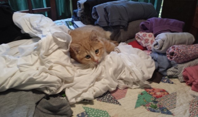 There's a New Kid in Town (6)