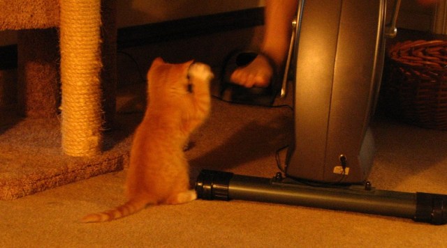 There's a New Kid in Town (7)