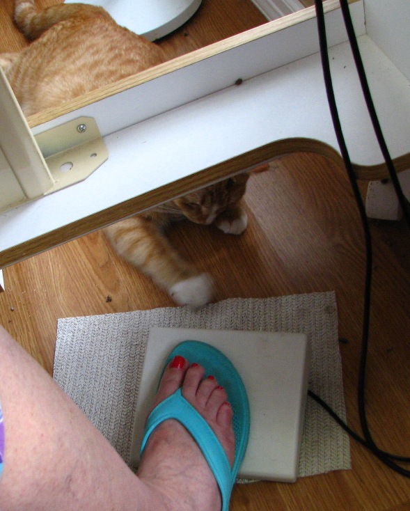 A Machine Pieced Star (13)