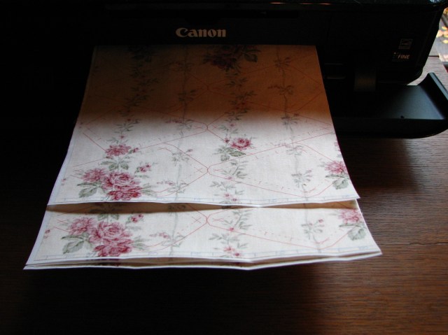 A Machine Pieced Star (18)