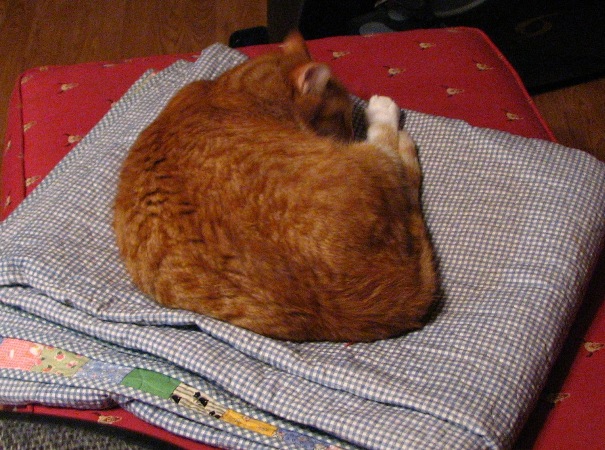 A Machine Pieced Star (2)