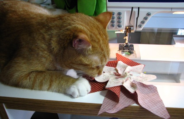 A Machine Pieced Star (8)